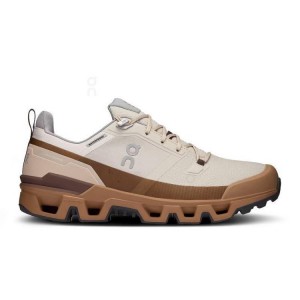 Brown Men On Running Cloudwander Waterproof Hiking Shoes | IN_ON8764